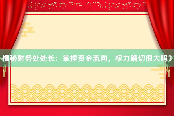 揭秘财务处处长：掌捏资金流向，权力确切很大吗？